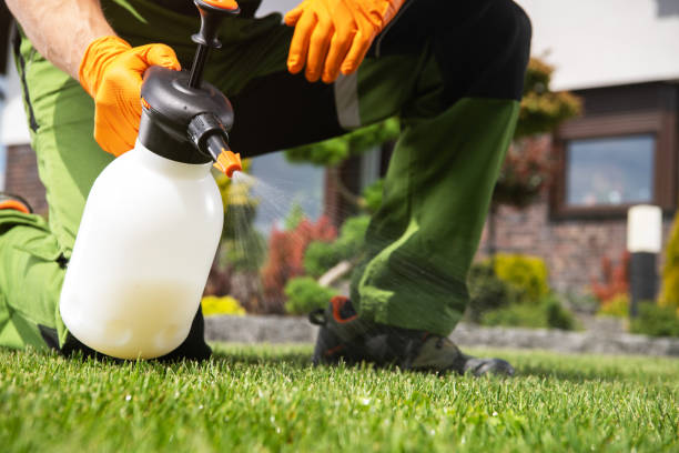 Best Commercial Pest Control Services  in Lake Junaluska, NC