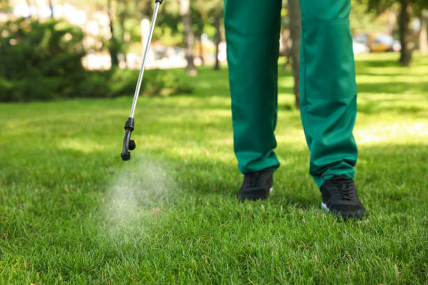 Best Cockroach Control Services  in Lake Junaluska, NC