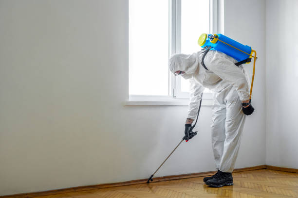 Best Best Pest Control Companies  in Lake Junaluska, NC
