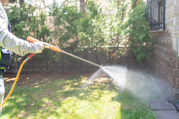 Professional Pest Control in Lake Junaluska, NC