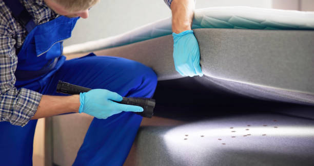 Best Exterminator Services  in Lake Junaluska, NC