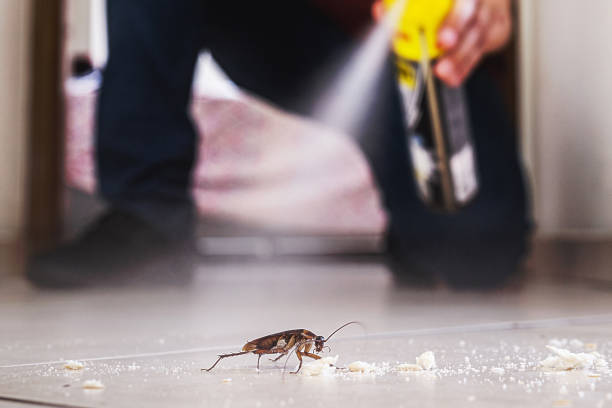 Best Rat Extermination Near Me  in Lake Junaluska, NC
